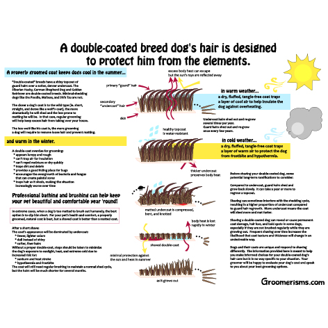 Grooming Double Coated Dogs