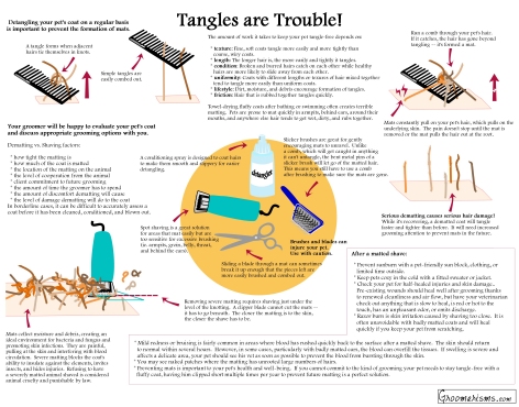 Tangles are Trouble Infographic